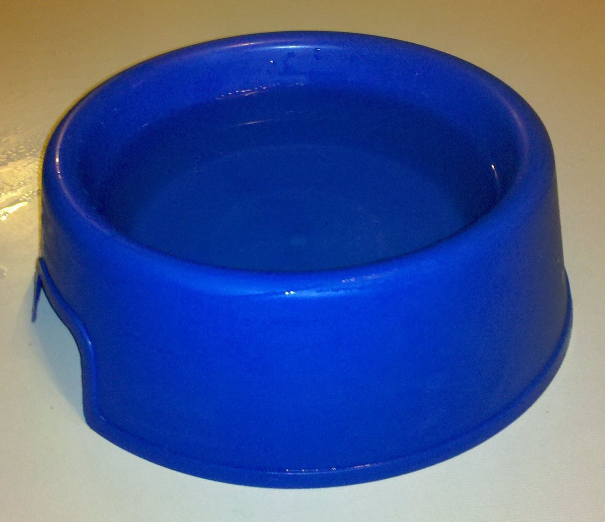 A dog water bowl