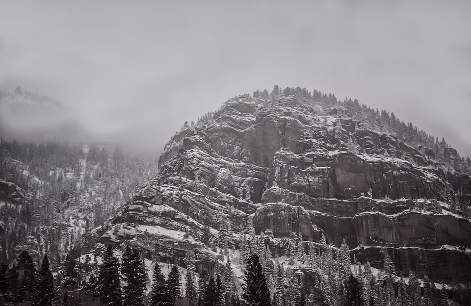 A rocky mountain covered with trees under a muted sky